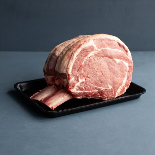 Crop / Fore Rib